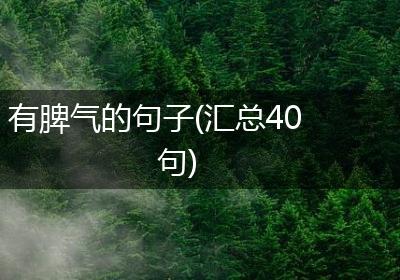 有脾气的句子(汇总40句)