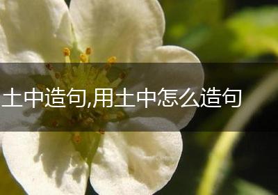 土中造句,用土中怎么造句