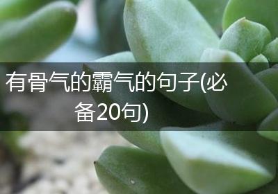 有骨气的霸气的句子(必备20句)