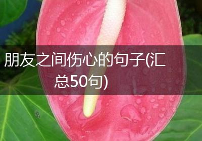 朋友之间伤心的句子(汇总50句)
