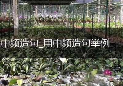 中频造句_用中频造句举例