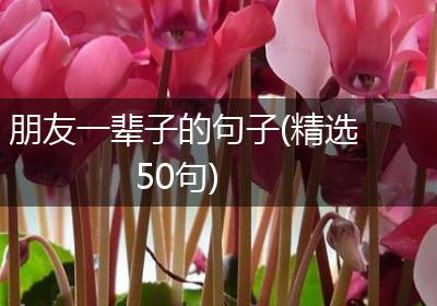 朋友一辈子的句子(精选50句)