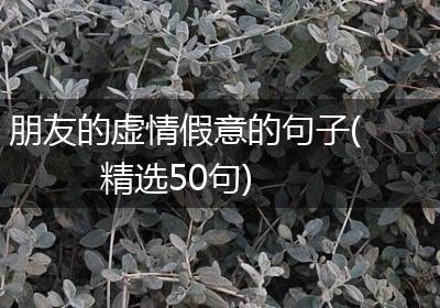 朋友的虚情假意的句子(精选50句)