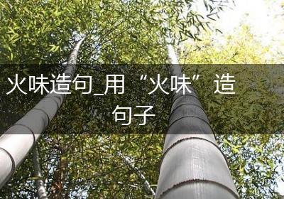 火味造句_用“火味”造句子