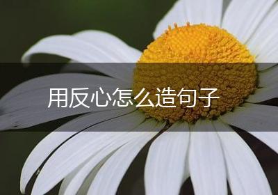 用反心怎么造句子