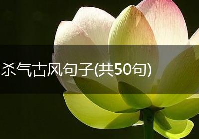 杀气古风句子(共50句)