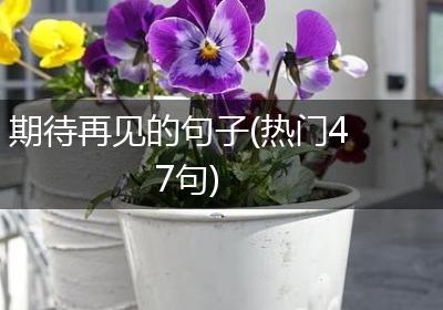 期待再见的句子(热门47句)