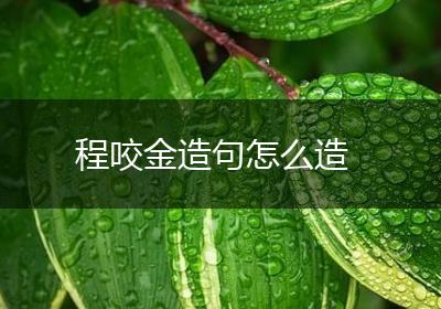 程咬金造句怎么造