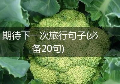 期待下一次旅行句子(必备20句)