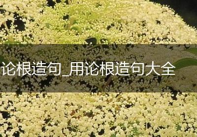 论根造句_用论根造句大全