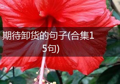 期待卸货的句子(合集15句)