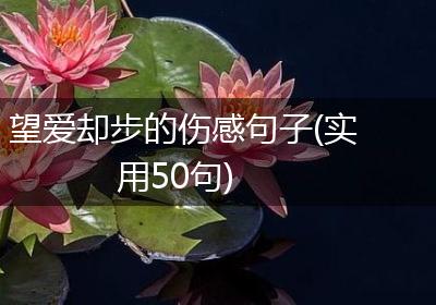 望爱却步的伤感句子(实用50句)