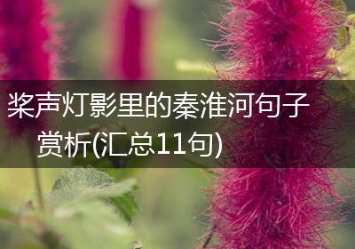 桨声灯影里的秦淮河句子赏析(汇总11句)