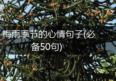 梅雨季节的心情句子(必备50句)