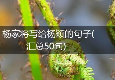 杨家将写给杨颖的句子(汇总50句)