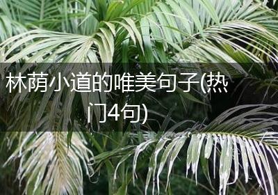 林荫小道的唯美句子(热门4句)