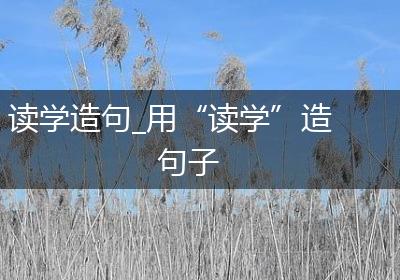 读学造句_用“读学”造句子