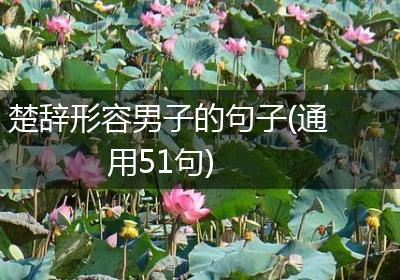 楚辞形容男子的句子(通用51句)