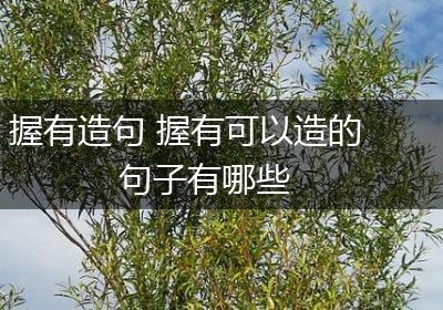 握有造句 握有可以造的句子有哪些