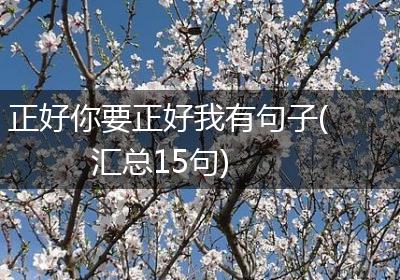 正好你要正好我有句子(汇总15句)