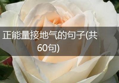 正能量接地气的句子(共60句)