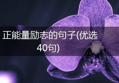 正能量励志的句子(优选40句)