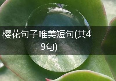 樱花句子唯美短句(共49句)