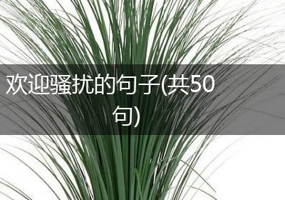 欢迎骚扰的句子(共50句)