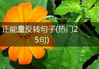 正能量反转句子(热门25句)