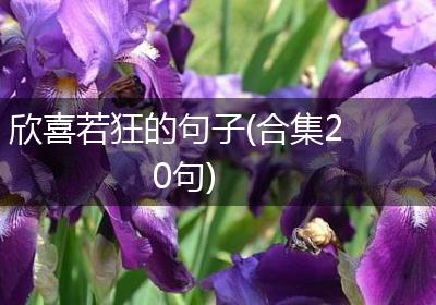 欣喜若狂的句子(合集20句)