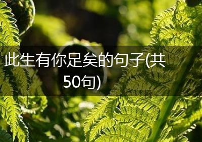 此生有你足矣的句子(共50句)