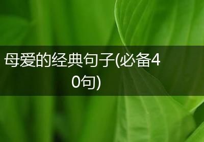 母爱的经典句子(必备40句)