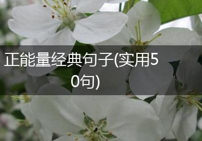 正能量经典句子(实用50句)