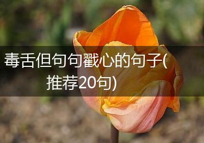 毒舌但句句戳心的句子(推荐20句)