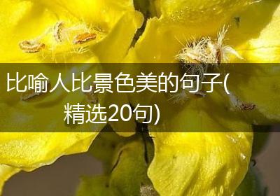 比喻人比景色美的句子(精选20句)