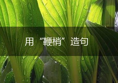 用“鞭梢”造句