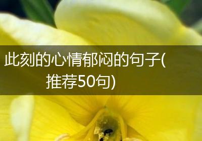此刻的心情郁闷的句子(推荐50句)