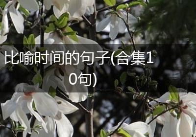 比喻时间的句子(合集10句)
