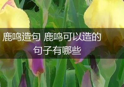 鹿鸣造句 鹿鸣可以造的句子有哪些