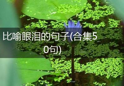 比喻眼泪的句子(合集50句)