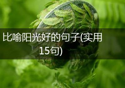比喻阳光好的句子(实用15句)