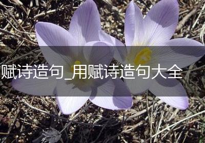 赋诗造句_用赋诗造句大全