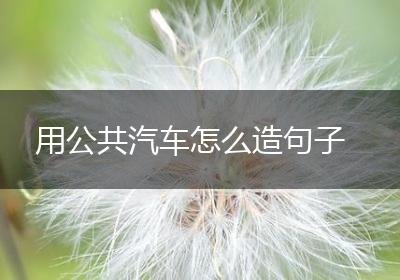 用公共汽车怎么造句子