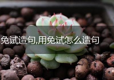 免试造句,用免试怎么造句