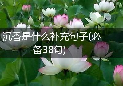 沉香是什么补充句子(必备38句)