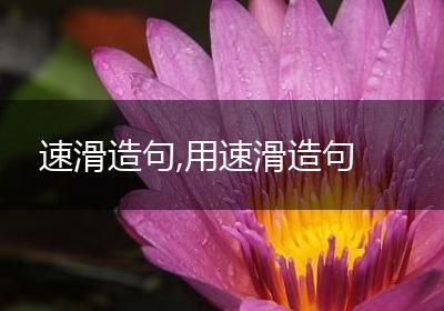 速滑造句,用速滑造句