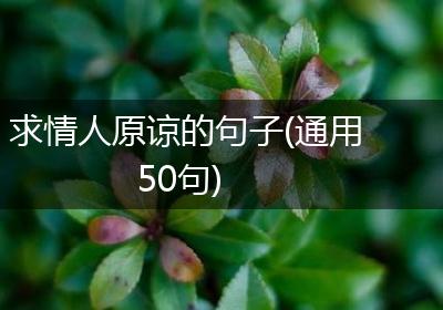 求情人原谅的句子(通用50句)