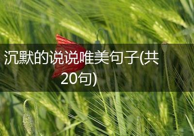 沉默的说说唯美句子(共20句)