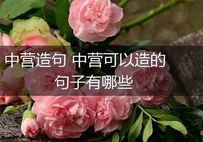中营造句 中营可以造的句子有哪些