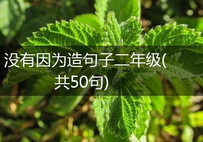 没有因为造句子二年级(共50句)